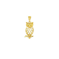 Eule_frontansicht_gold