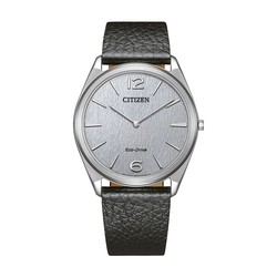 Citizen Suratto AR3120-16A | Saphirglas | Ersay