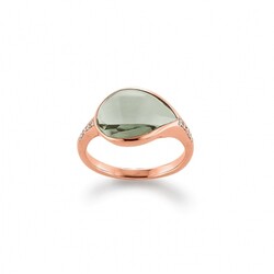 ring-s4819ryFMqi1iD8zC0A