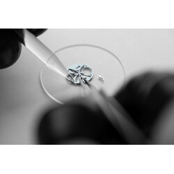 Frederique_Constant_FC-810MC3S6_Photo-c-Eric_Rossier_Workshop_1_SD
