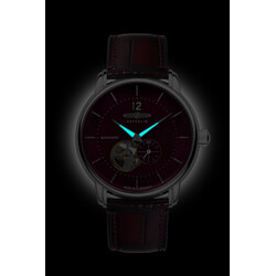 zeppelin_4041338816655_81665_night_view